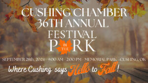 36TH Annual Festival in the Park banner 2024