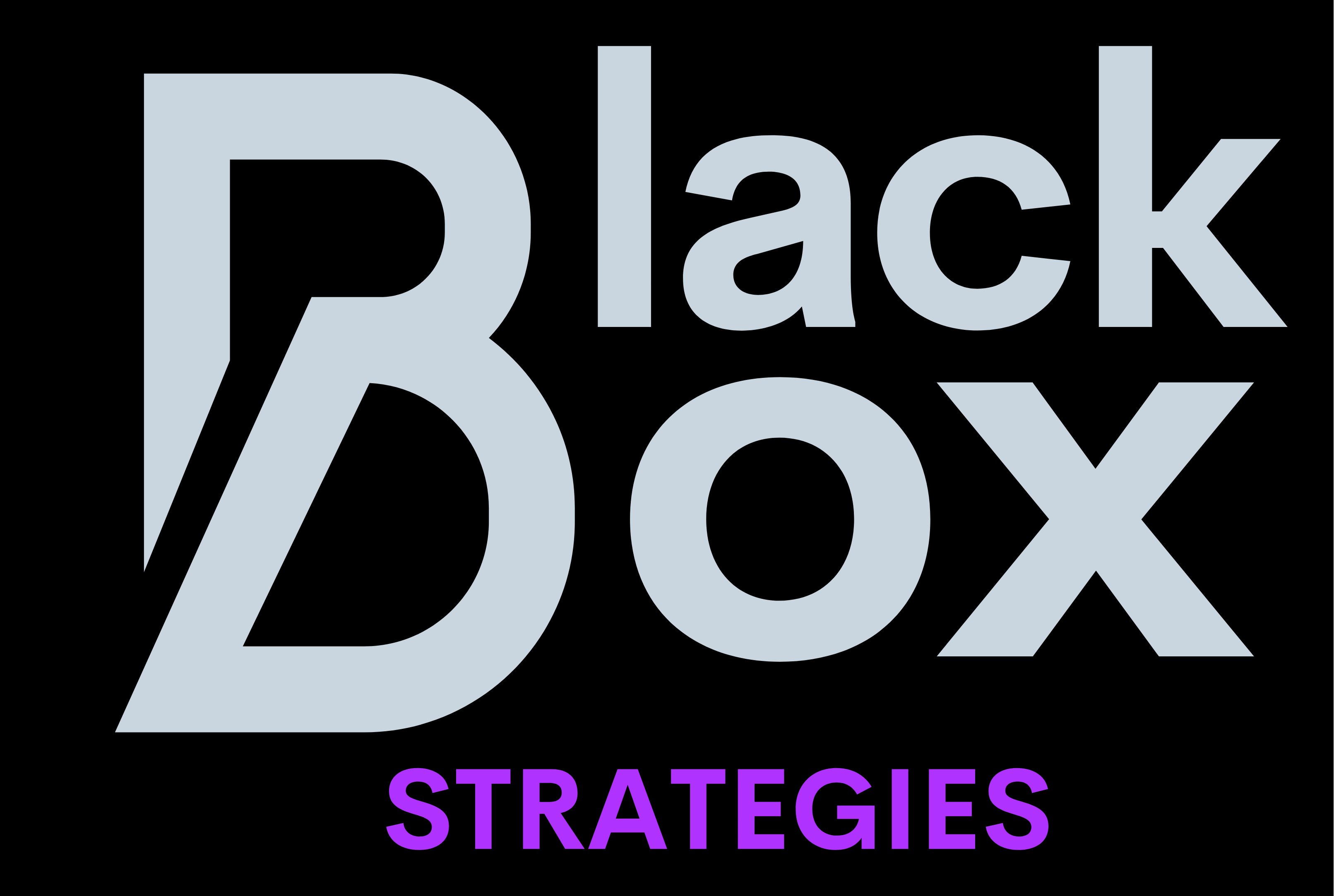 Black Box Strategies LLC