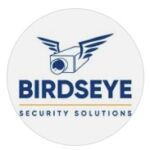 Birdseye Security Logo