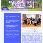 Dark Brown Elegant And Professional Business The Weekly Update Newsletter Flyer (28)