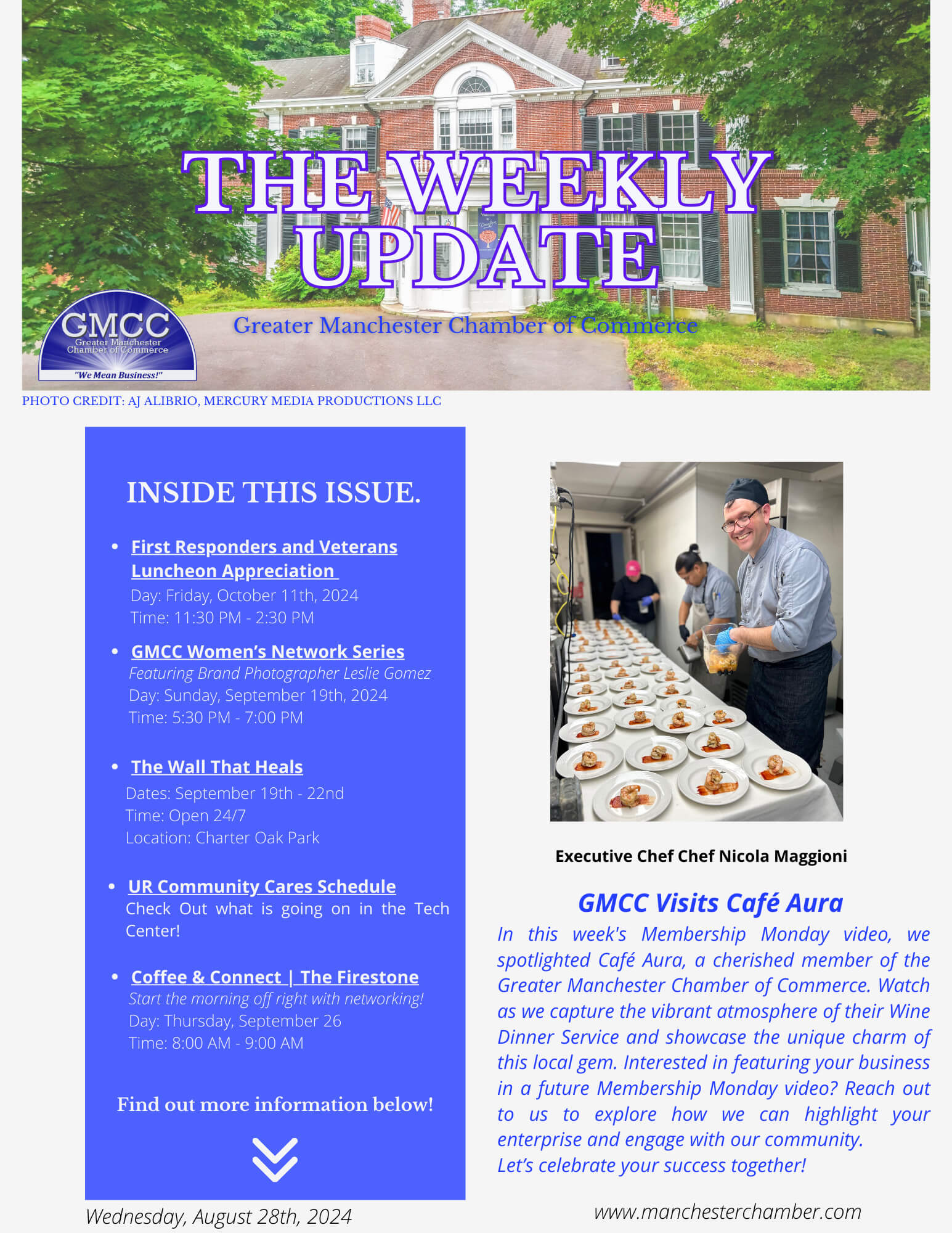 Dark Brown Elegant And Professional Business The Weekly Update Newsletter Flyer (29)