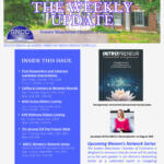 Dark Brown Elegant And Professional Business The Weekly Update Newsletter Flyer (30)