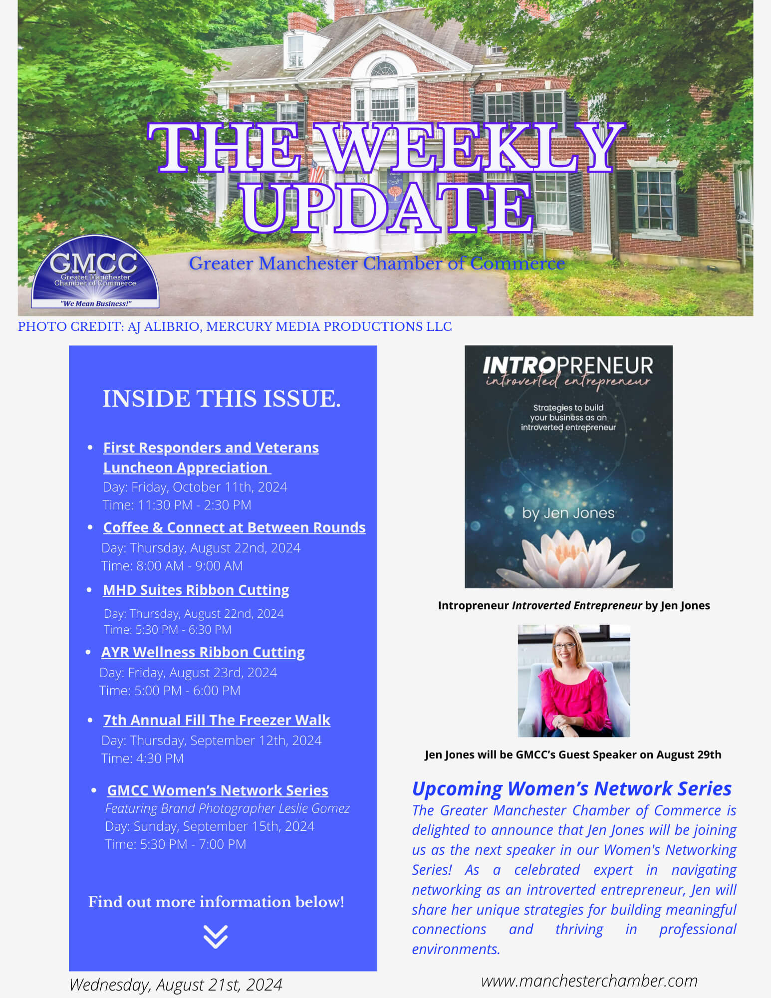 Dark Brown Elegant And Professional Business The Weekly Update Newsletter Flyer (30)