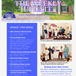 Dark Brown Elegant And Professional Business The Weekly Update Newsletter Flyer (31)