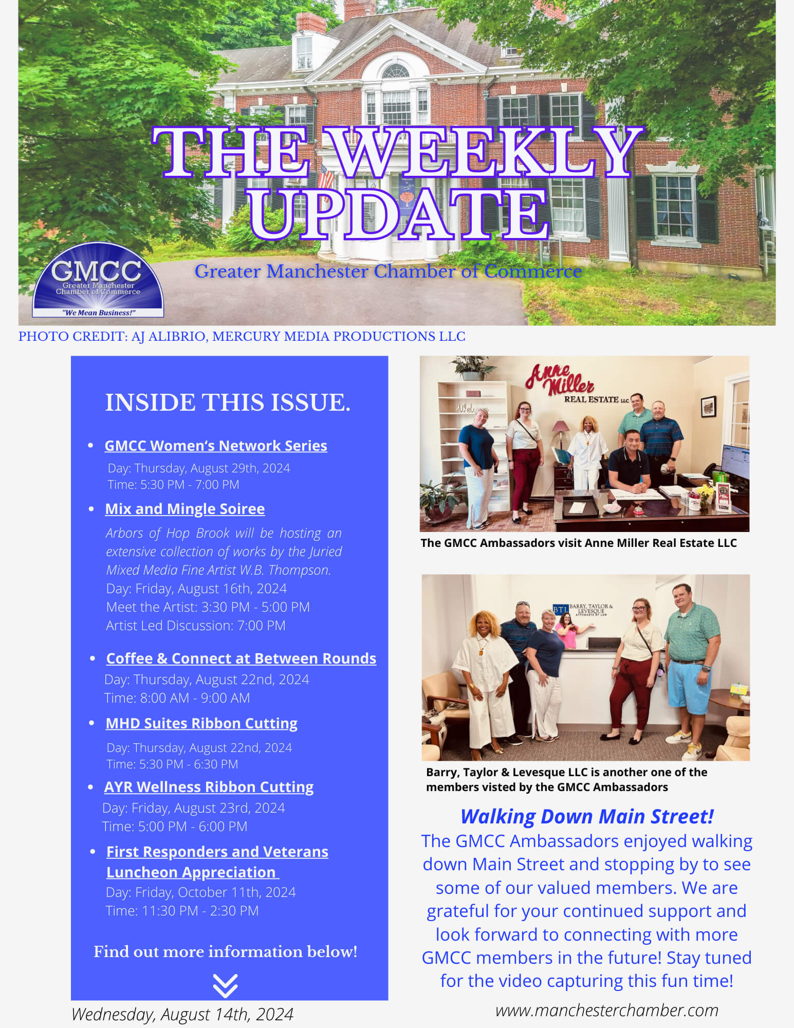 Dark Brown Elegant And Professional Business The Weekly Update Newsletter Flyer (31)