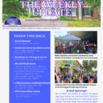 Dark Brown Elegant And Professional Business The Weekly Update Newsletter Flyer (32)