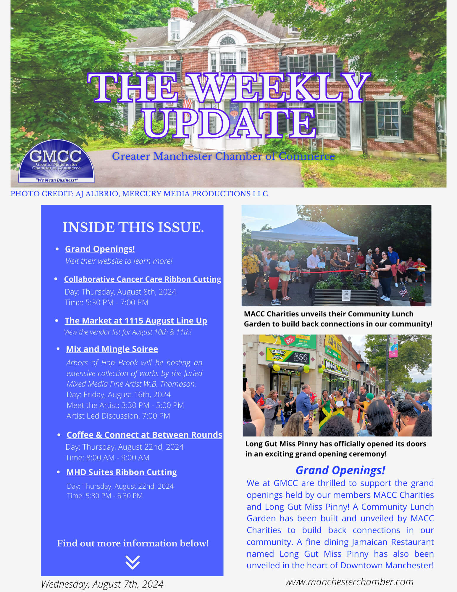 Dark Brown Elegant And Professional Business The Weekly Update Newsletter Flyer (32)