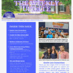 Dark Brown Elegant And Professional Business The Weekly Update Newsletter Flyer (33)