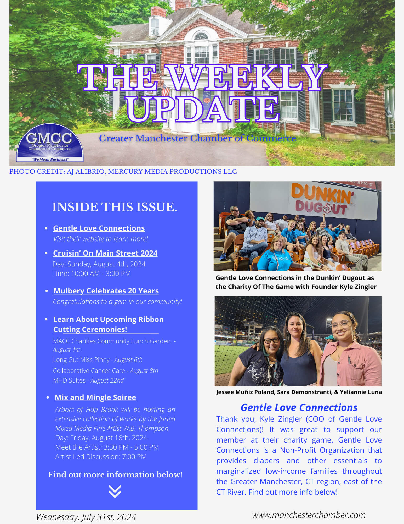 Dark Brown Elegant And Professional Business The Weekly Update Newsletter Flyer (33)