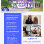 Dark Brown Elegant And Professional Business The Weekly Update Newsletter Flyer (34)