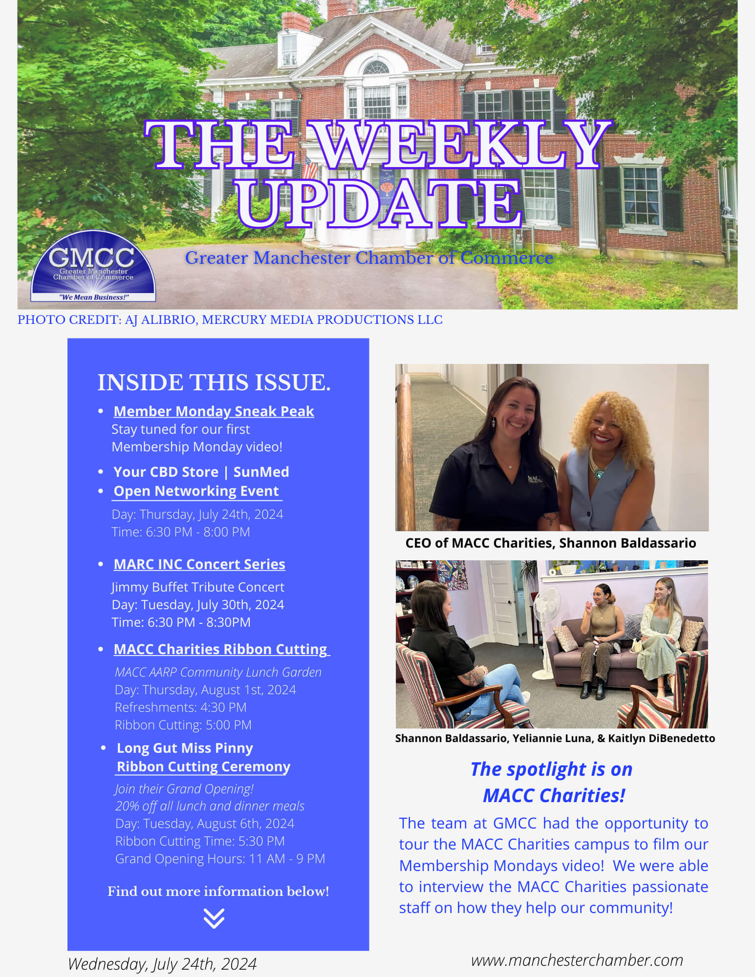 Dark Brown Elegant And Professional Business The Weekly Update Newsletter Flyer (34)