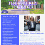 Dark Brown Elegant And Professional Business The Weekly Update Newsletter Flyer (3)