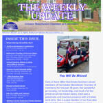 Dark Brown Elegant And Professional Business The Weekly Update Newsletter Flyer (5)