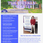 Dark Brown Elegant And Professional Business The Weekly Update Newsletter Flyer (8)