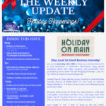 Dark Brown Elegant And Professional Business The Weekly Update Newsletter Flyer (9)