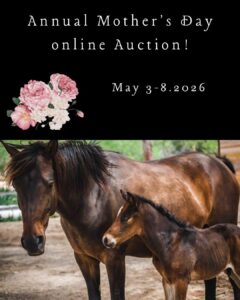 Rescue rio auction 5-3-26