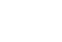 Triangle East Chamber logo