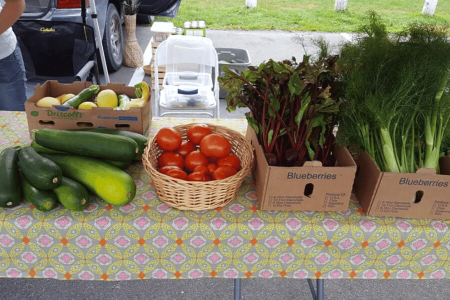 Vegetable stand at Lanesboro Farmer's Market
