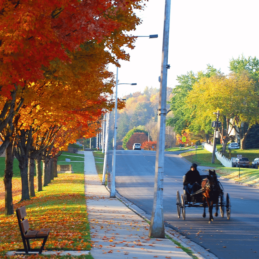 Amish buggy traveling on a fall day in Lanesboro, MN