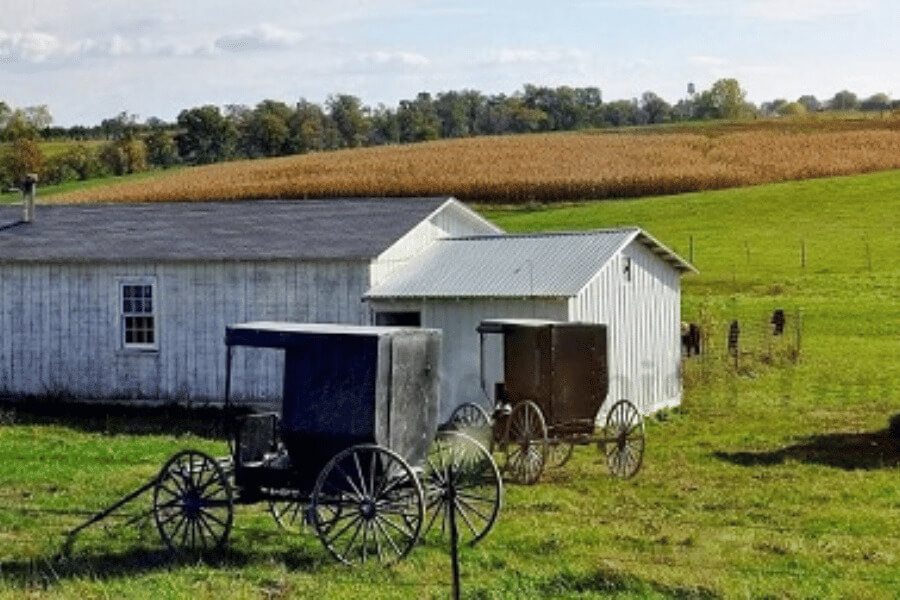 Amish farm and buggies as seen from a tour with Bluffscape Amish Tours