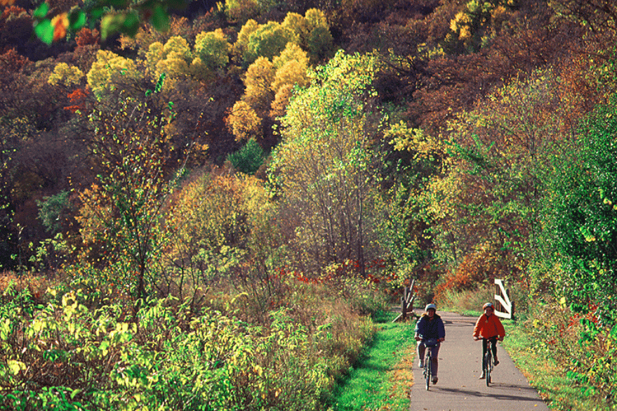 Fall colors on the Root River Bike Trail