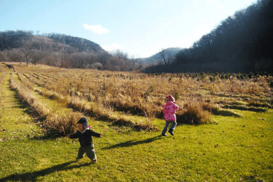 Young kids running through a field in Lanesboro, MN