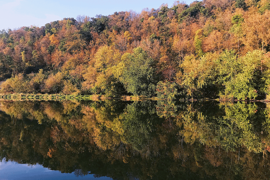 Lanesboro Bass Pond in the Fall