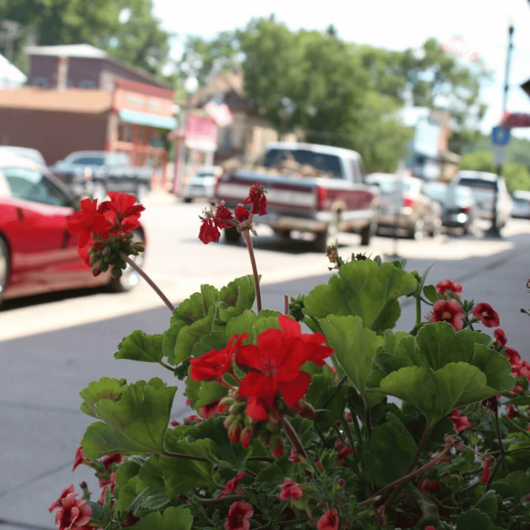 Flower basket on Main Street in Lanesboro