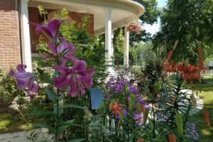 Beautiful landscaping adorns the lawn of the James A. Thompson House B&B.