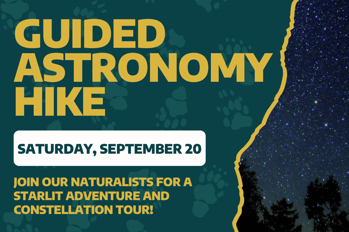 Promotional graphic for Eagle Bluff’s Guided Astronomy Hike in Lanesboro on September 20, featuring a starry night sky above silhouetted trees