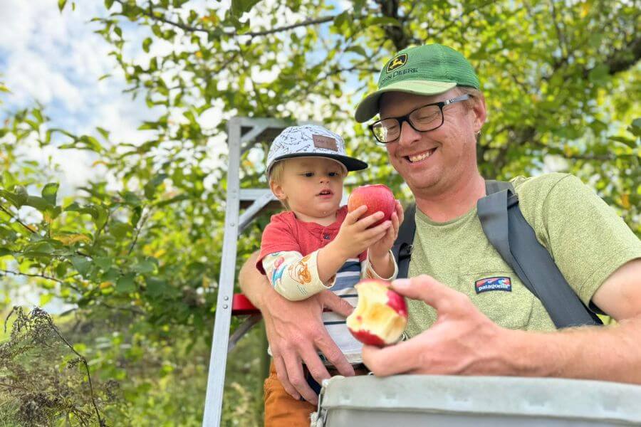A father and young child pick apples together at Blossom Hill Orchard near Lanesboro, MN. The child holds a bright red apple while smiling in the orchard.