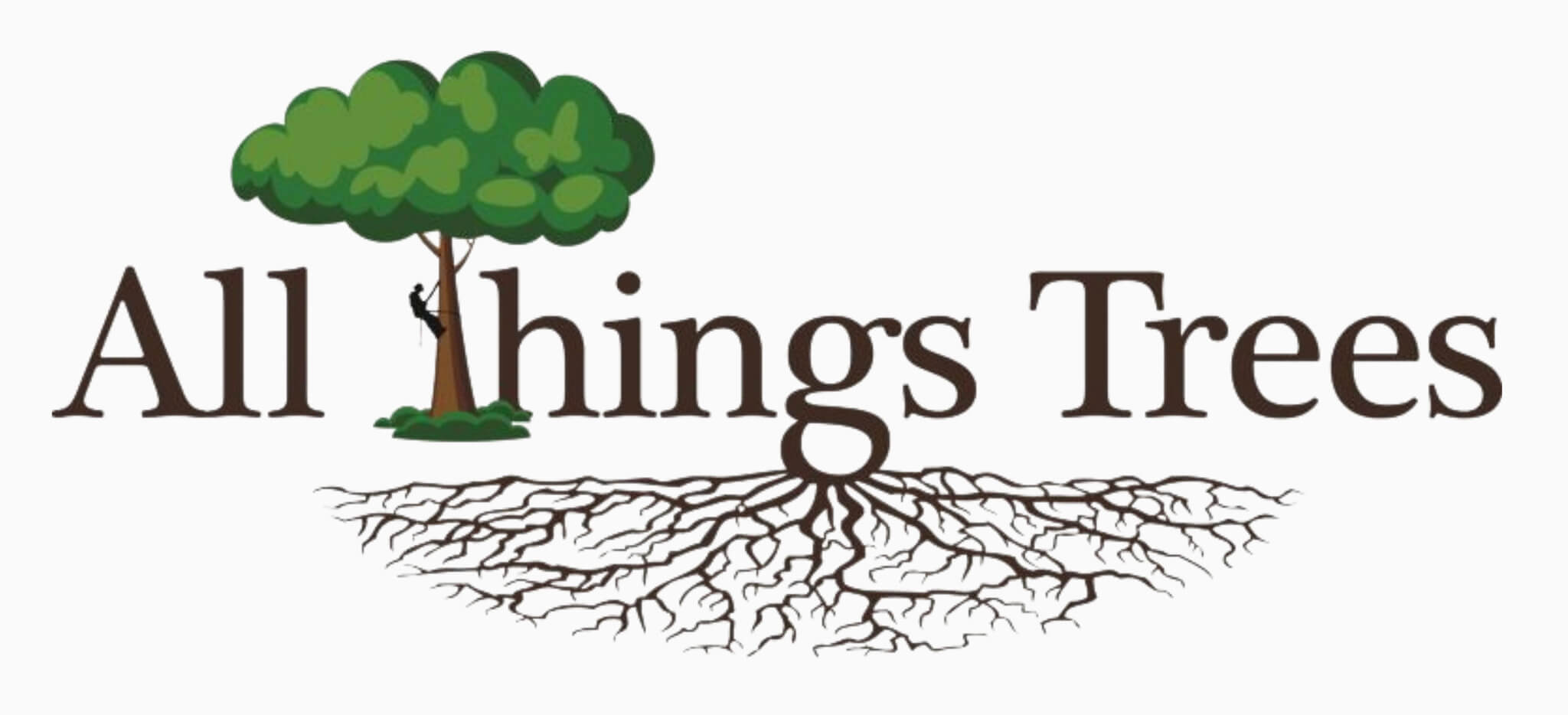 All Things Trees