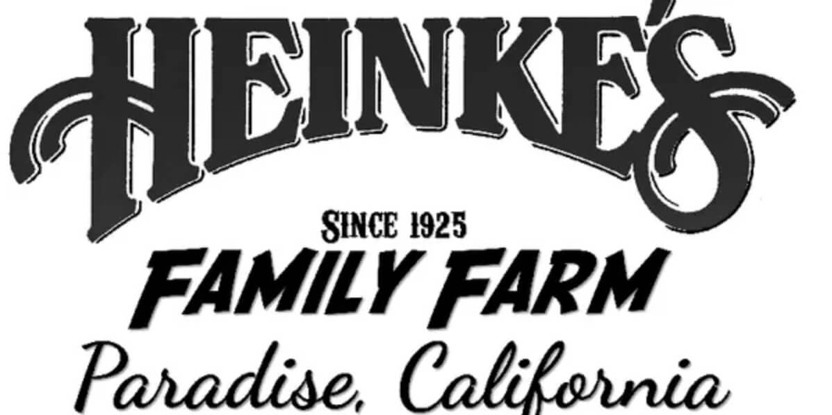 Screenshot 2025-11-20 131025