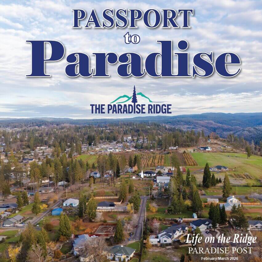 Passport to Paradise California. Drone photo of residential streets and scenery.