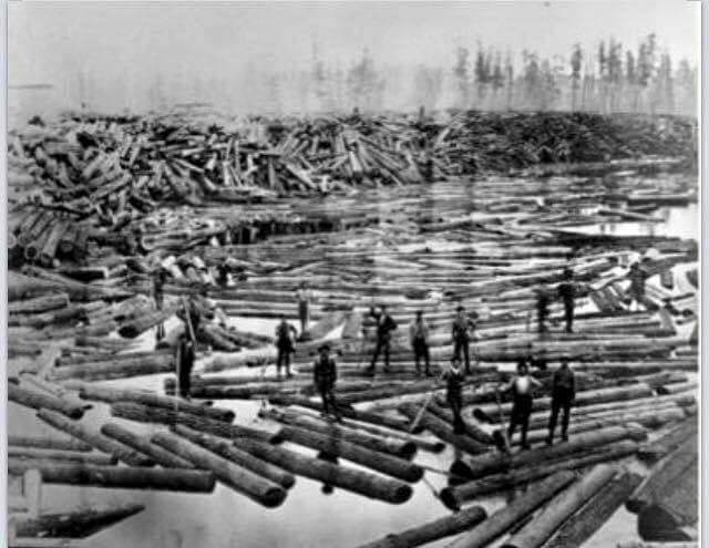Forestry trucks and heavy equipment at LoggerfestFort Kent Maine St. John Valley Northern Maine Things to do in Fort Kent Fort Kent events Maine tourism
