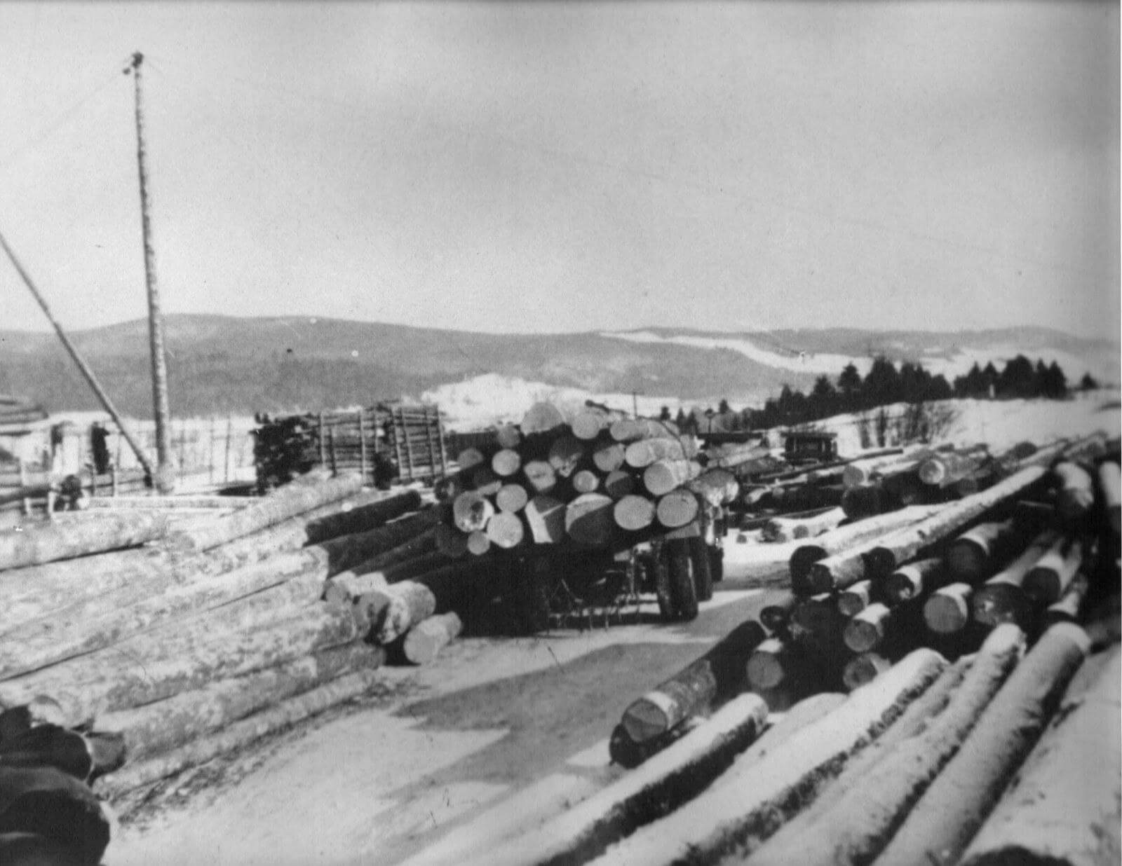Northern Maine logging mill yard with loaded timber trucks and stacked logs mid-twentieth century Allagash region