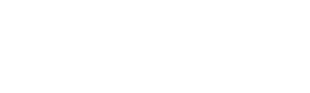 DMR_logo_white