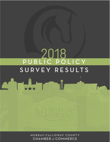 2018-public-policy-survey-results