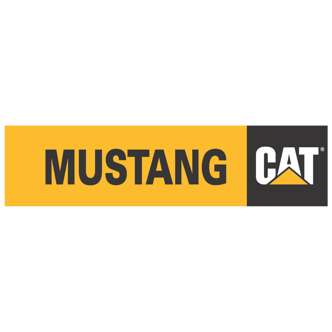 mustang cat web size