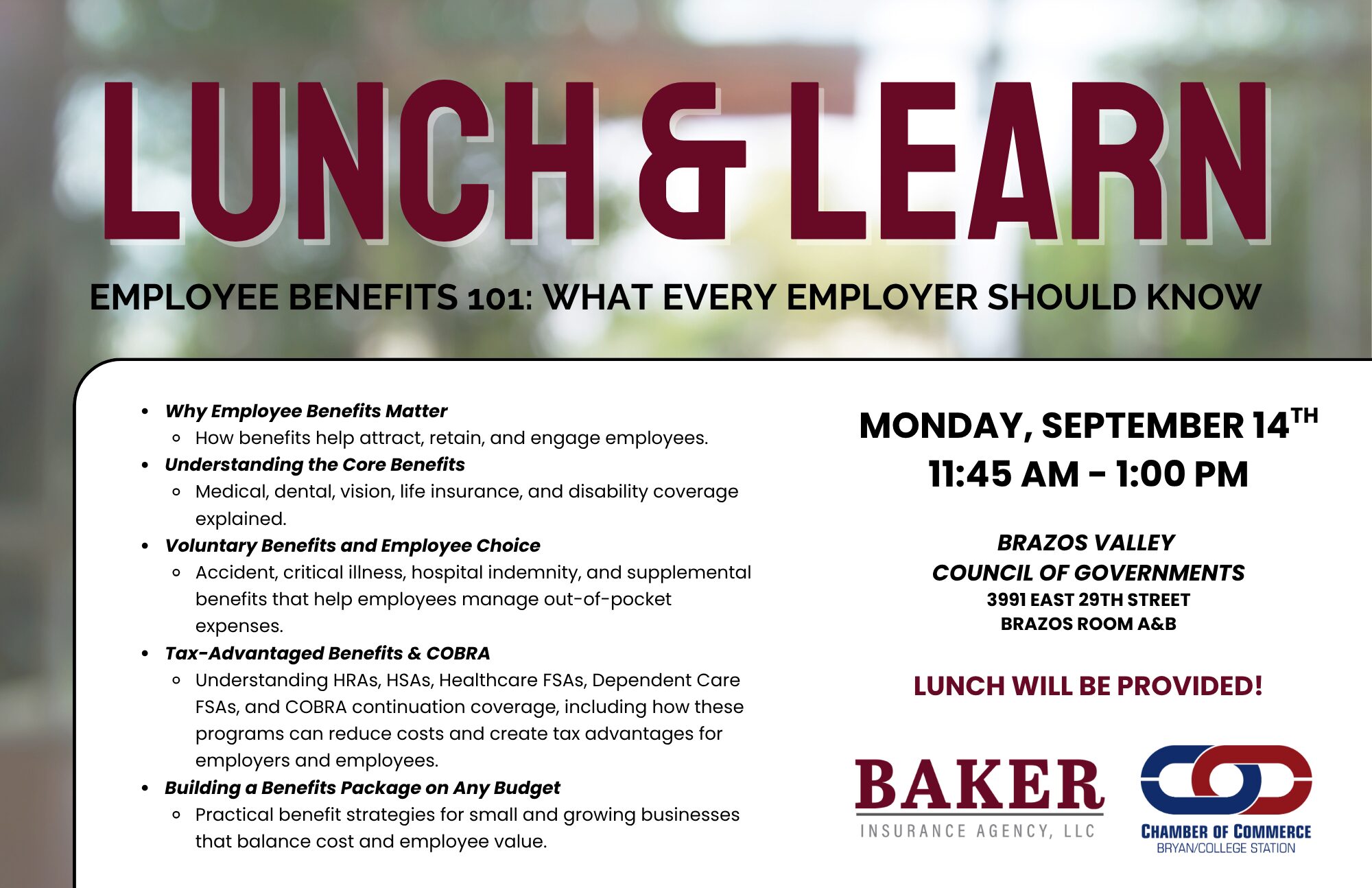 Lunch and Learn Employee Benefits 101 (1)
