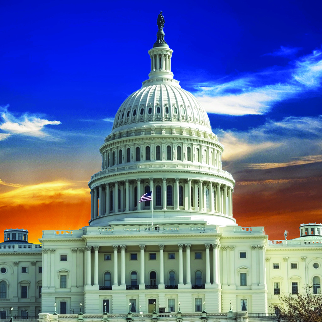 Capitol Building image