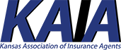 Old KAIA logo