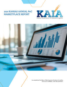 2025 Annual Marketplace Report Cover