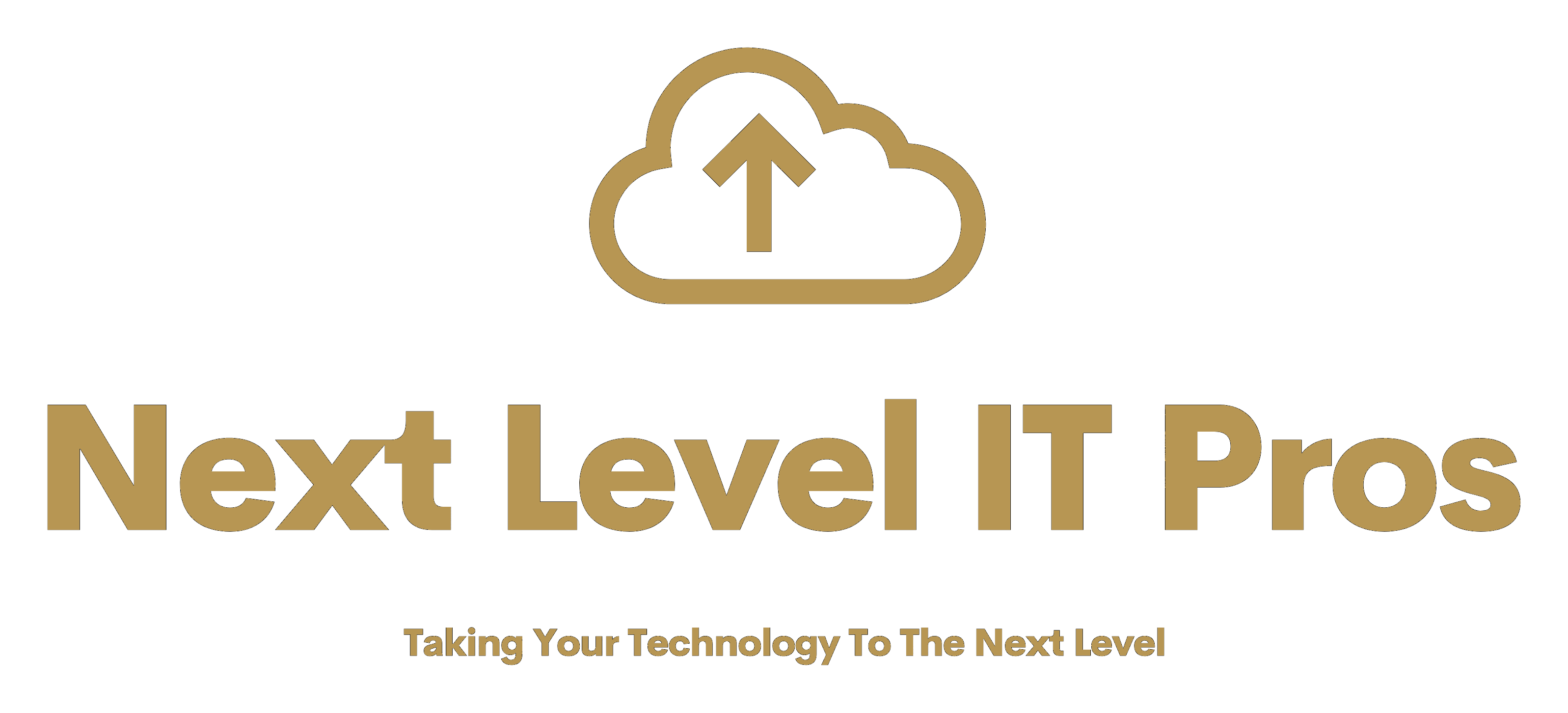 Next Level IT Pros.