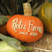 Rutiz-Farms-logo-w200