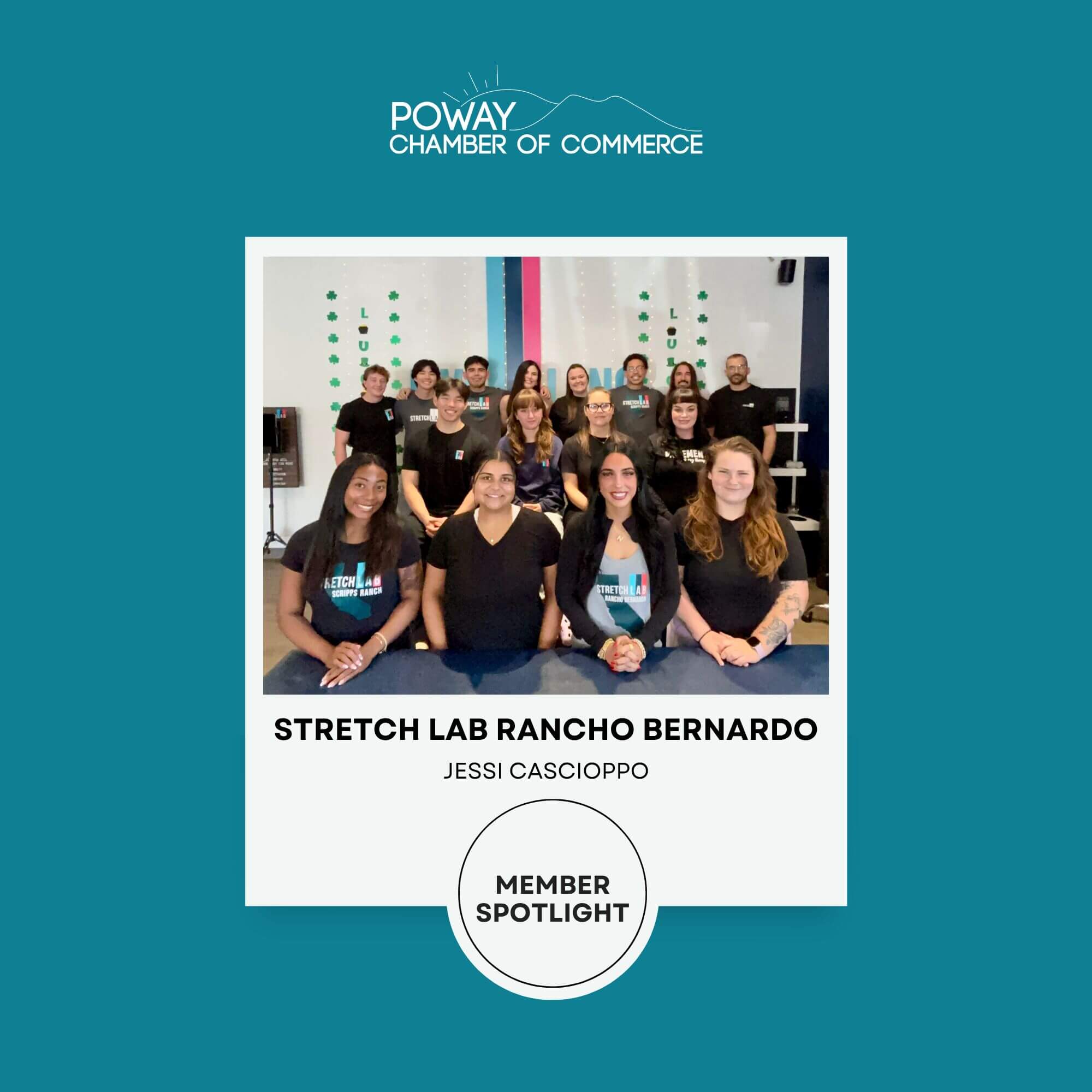 member spotlight (1)