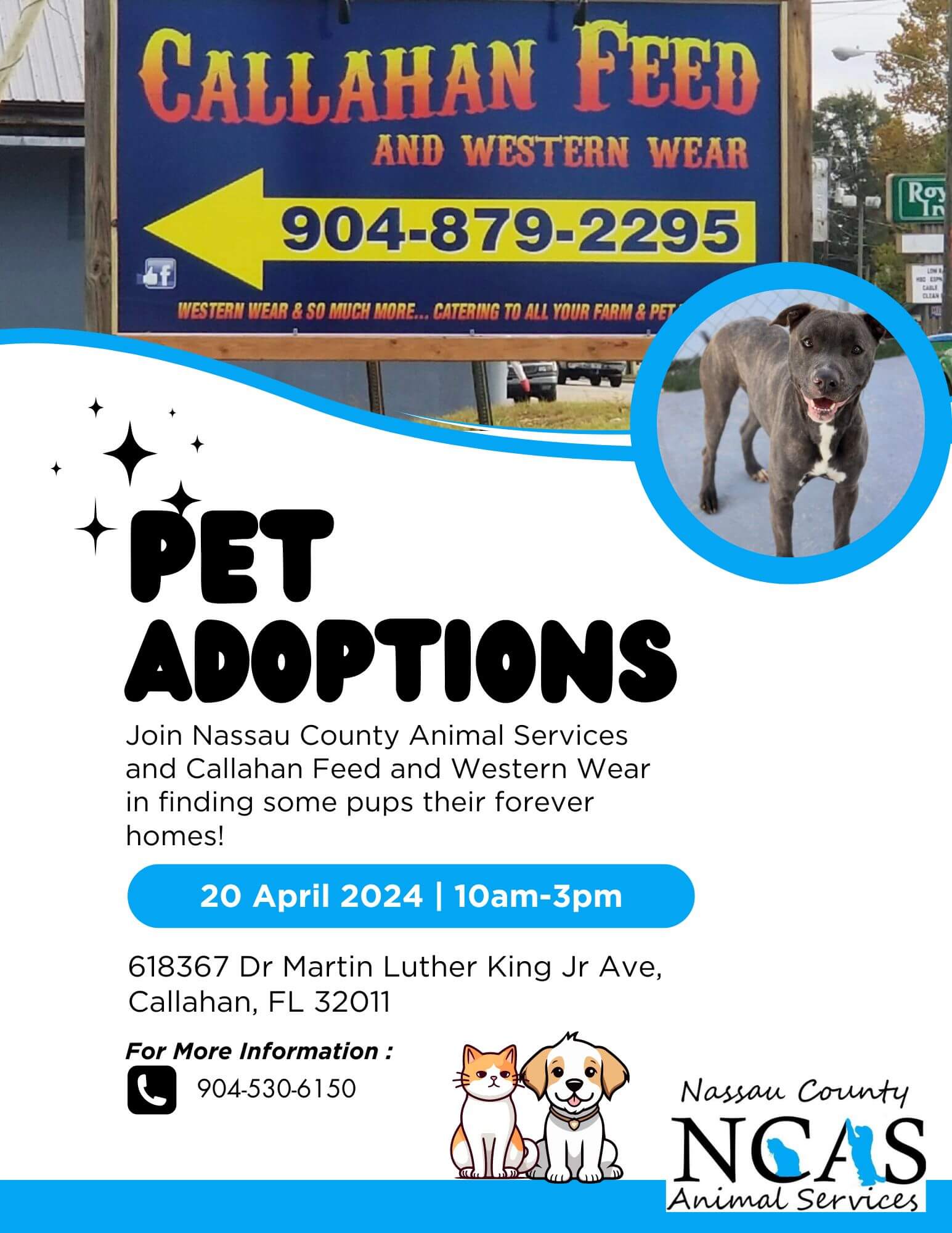Callahan Feed & Western Wear Pet Adoptions Event Flyer