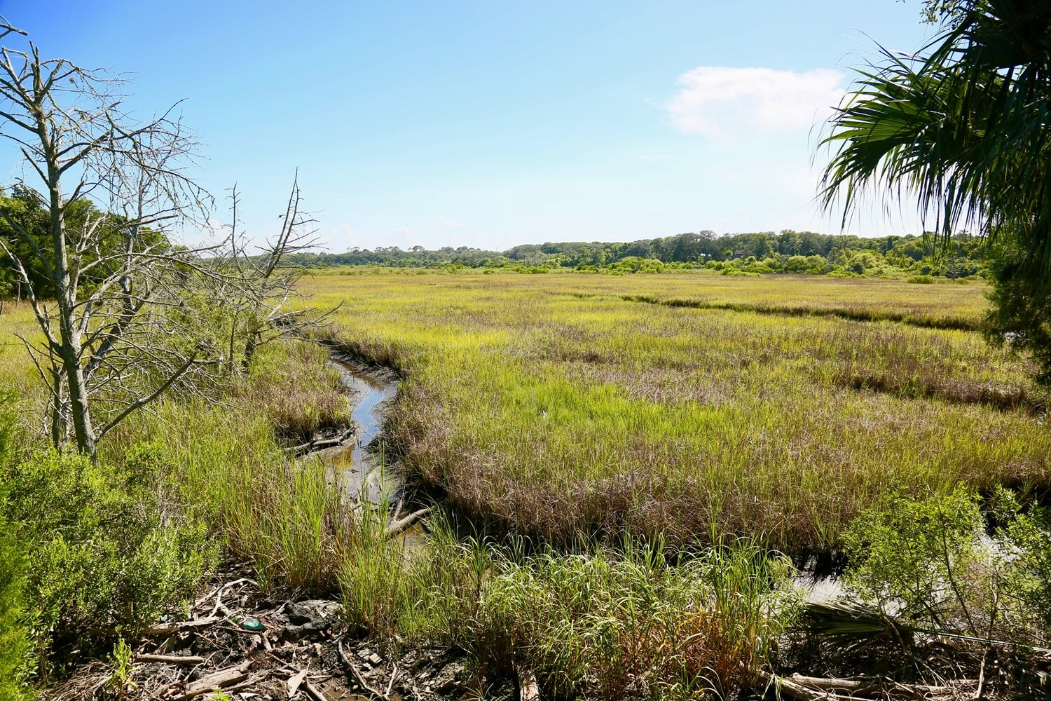 City of Fernandina Beach Land Conservation Trust Fund Donation