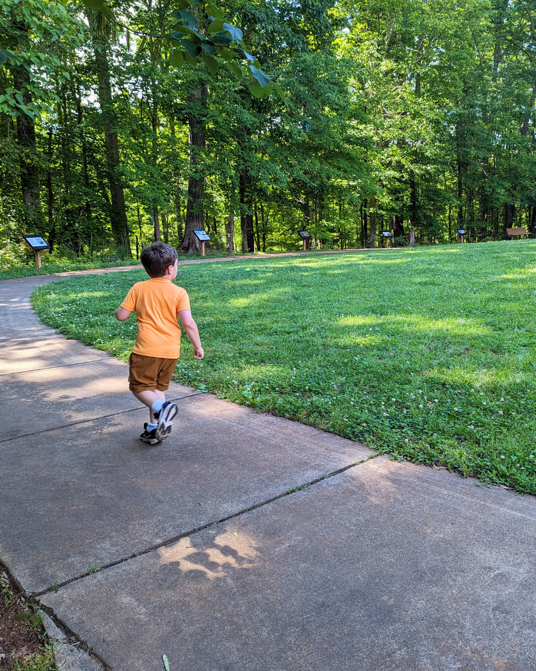 Taken near the Nature Center at White Deer Park.