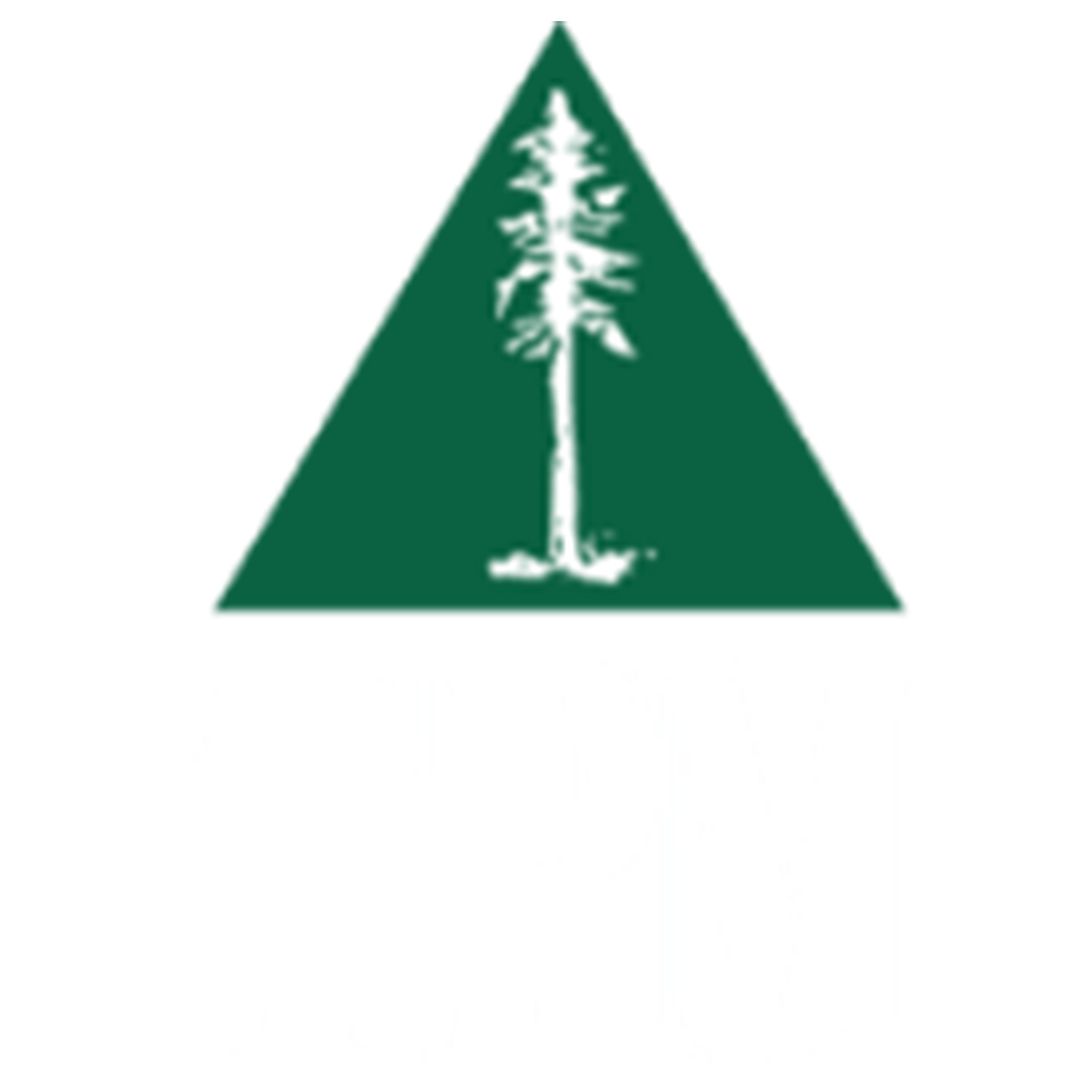 TPM Transparent